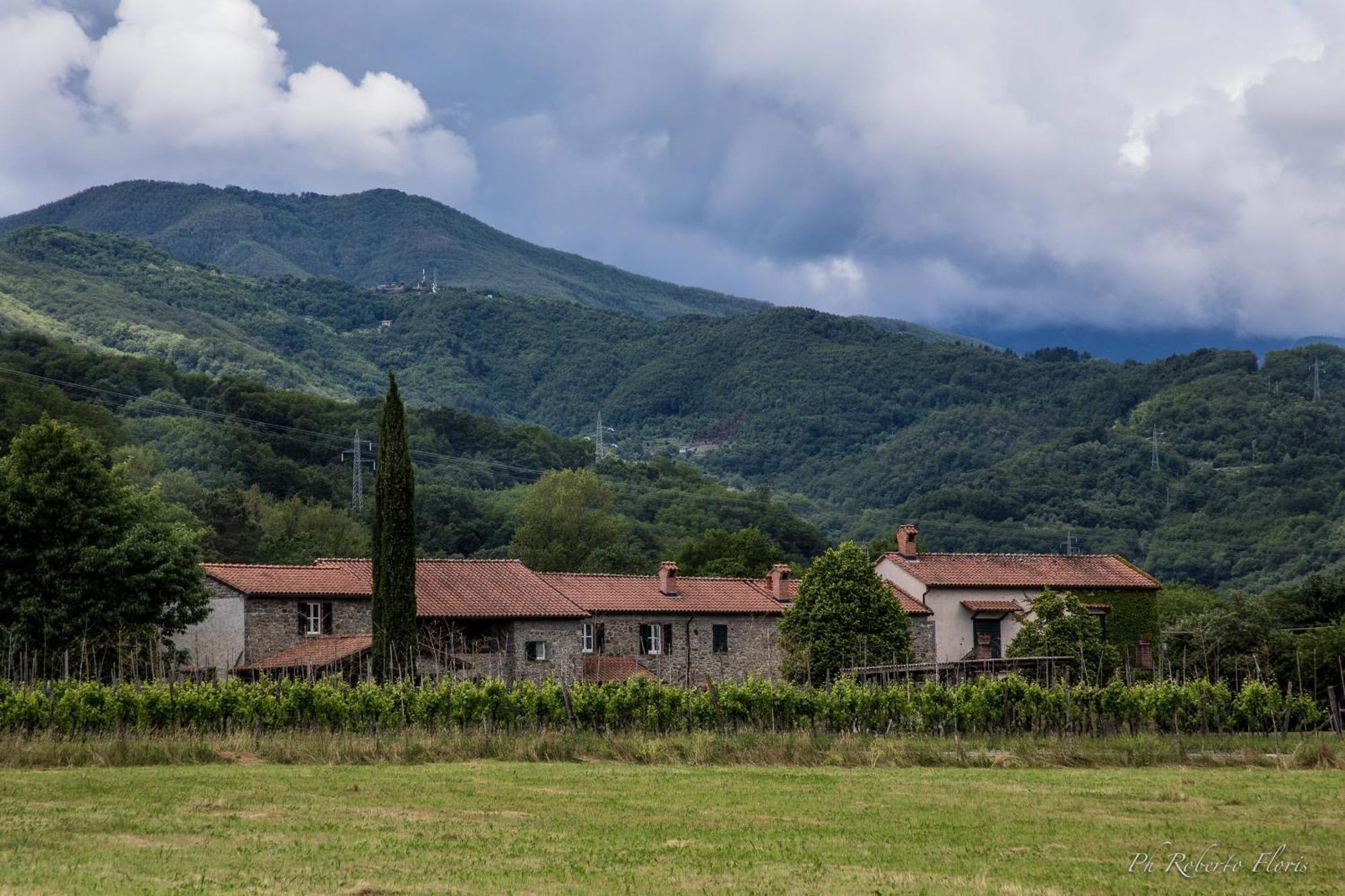 Coriana Apartments & Villas Mulazzo Buitenkant foto